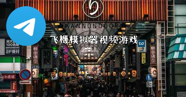 飞機模拟器视频游戏