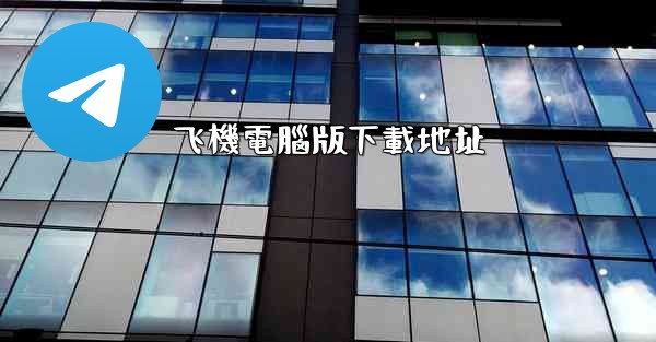 飞機電腦版下載地址