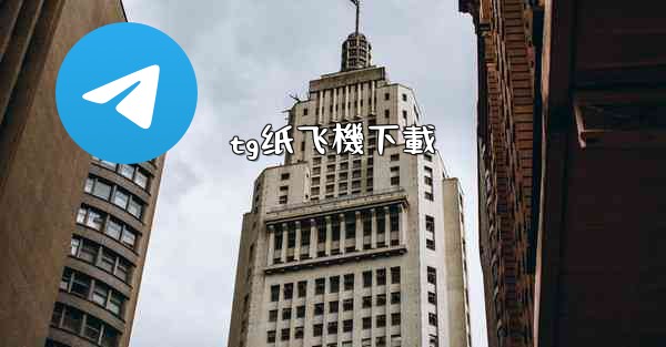 tg纸飞機下載