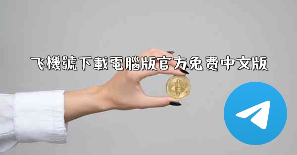 飞機號下載電腦版官方免费中文版