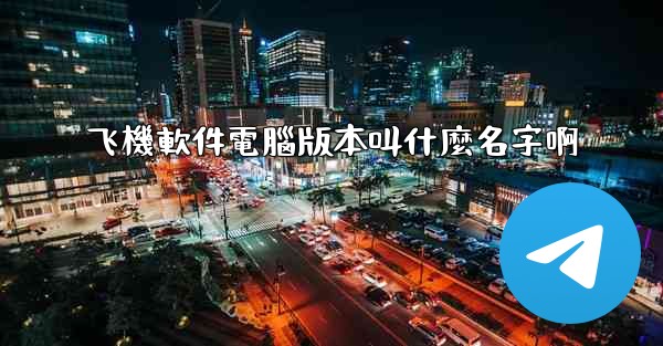 飞機軟件電腦版本叫什麼名字啊