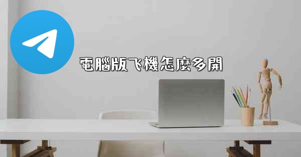 電腦版飞機怎麼多開