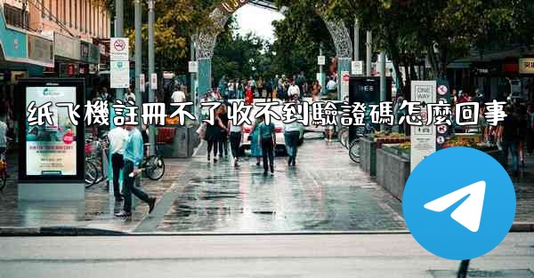 纸飞機註冊不了收不到驗證碼怎麼回事