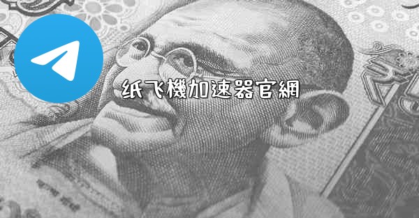 纸飞機加速器官網