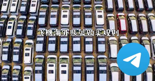 飞機海外賬號购买规则