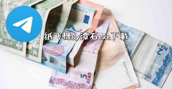 纸飞機by潭石txt下載