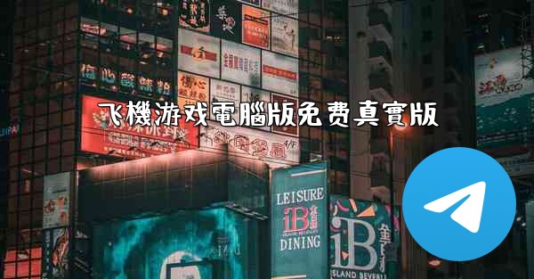 飞機游戏電腦版免费真實版