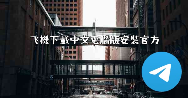 飞機下載中文電腦版安裝官方