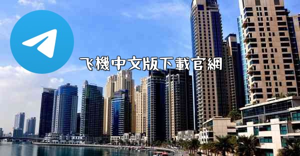 飞機中文版下載官網