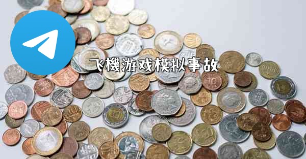 飞機游戏模拟事故