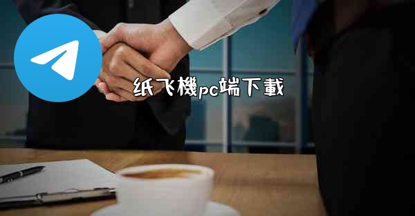 纸飞機pc端下載