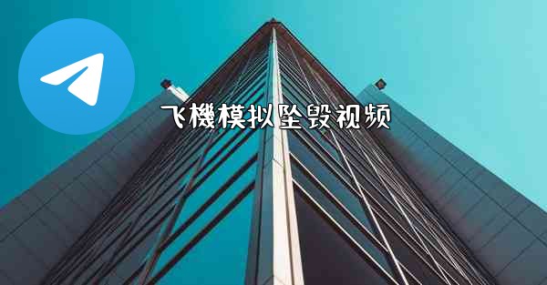 飞機模拟坠毁视频