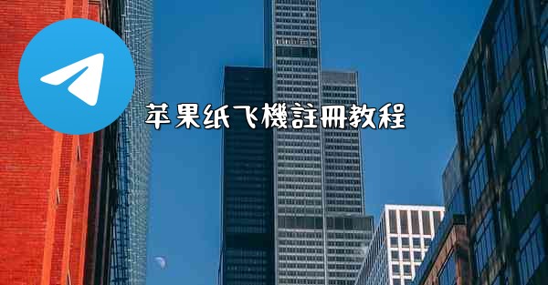 苹果纸飞機註冊教程