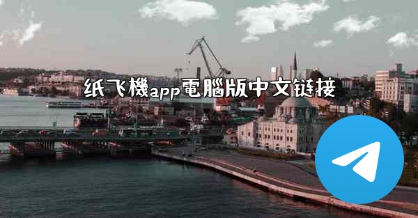纸飞機app電腦版中文链接