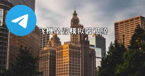 飞機坠毁模拟器视频