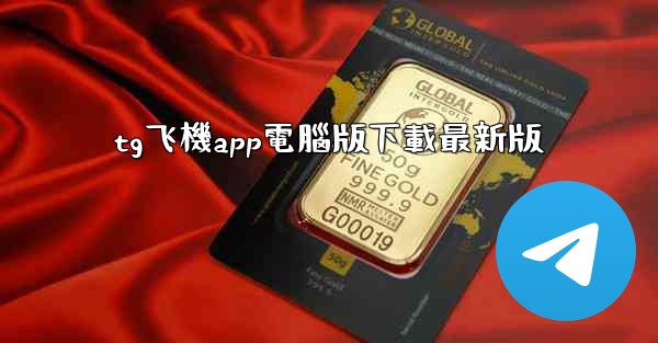 tg飞機app電腦版下載最新版