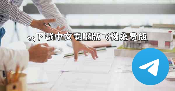 tg下載中文電腦版飞機免费版