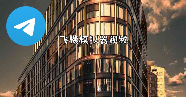 飞機模拟器视频