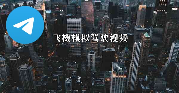 飞機模拟驾驶视频