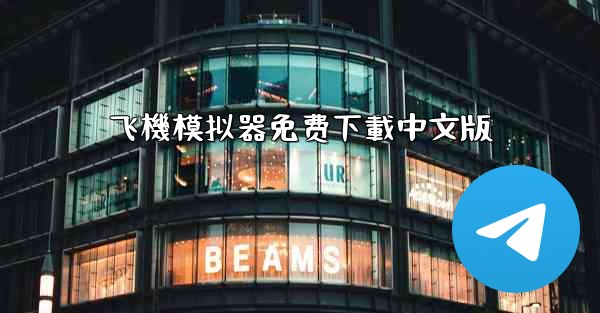 飞機模拟器免费下載中文版