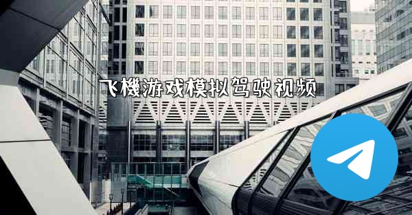 飞機游戏模拟驾驶视频