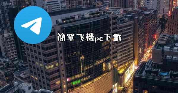 簡單飞機pc下載