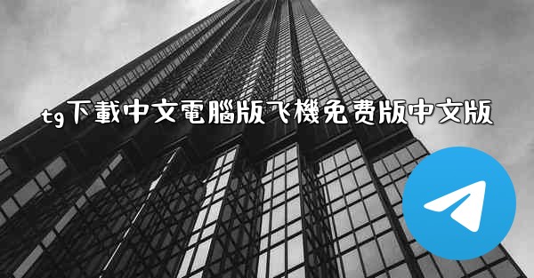 tg下載中文電腦版飞機免费版中文版