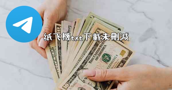 纸飞機txt下載未刪減