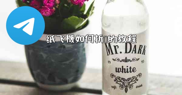 纸飞機如何折叠的教程