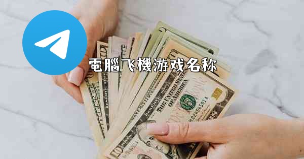 電腦飞機游戏名称