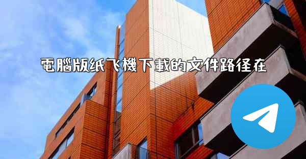 電腦版纸飞機下載的文件路径在