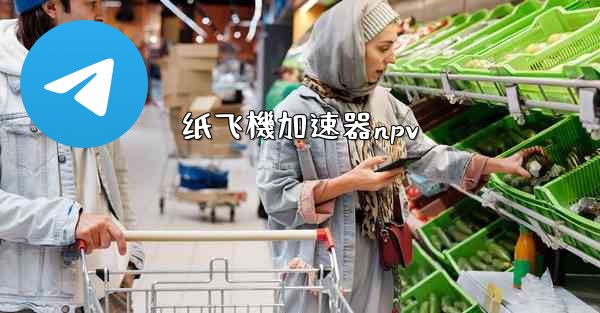 <b>纸飞機加速器npv</b>