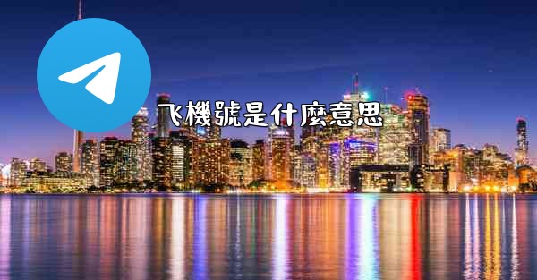 飞機號是什麼意思