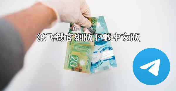 纸飞機官網版下載中文版