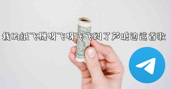 我的纸飞機呀飞呀飞飞到了芦塘边這首歌