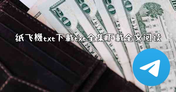 纸飞機txt下載txt全集下載全文阅读
