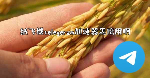 <b>纸飞機telegeram加速器怎麼用啊</b>