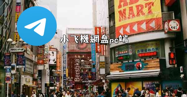 小飞機網盘pc端