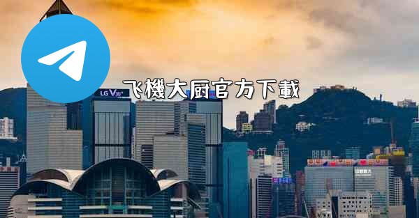 飞機大厨官方下載