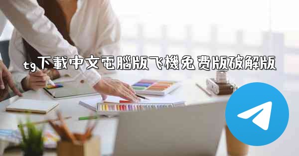 tg下載中文電腦版飞機免费版破解版