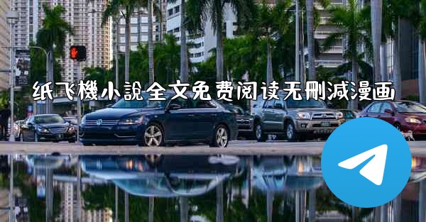 纸飞機小說全文免费阅读无刪減漫画