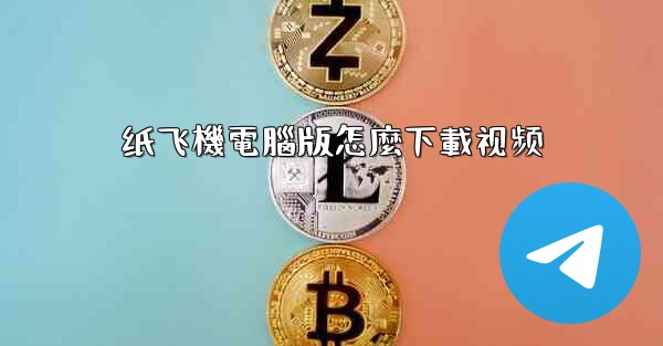 纸飞機電腦版怎麼下載视频