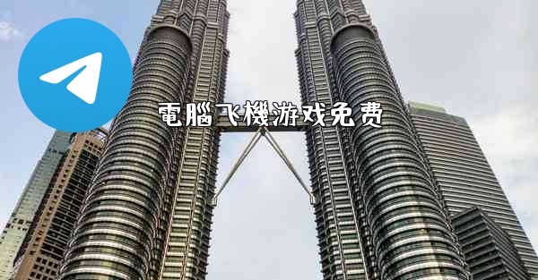 <b>電腦飞機游戏免费</b>