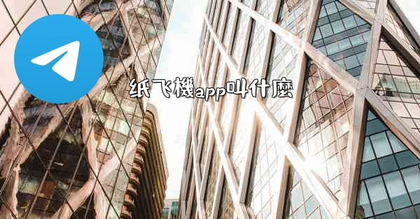 纸飞機app叫什麼