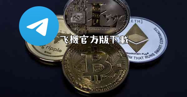 飞機官方版下載