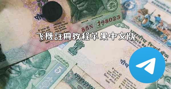 飞機註冊教程苹果中文版