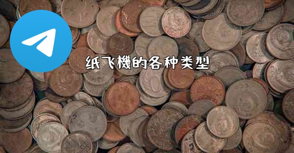 <b>纸飞機的各种类型</b>