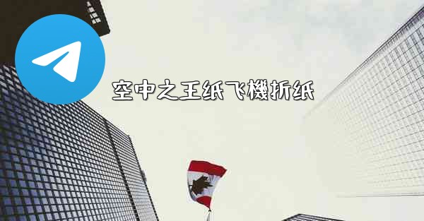空中之王纸飞機折纸