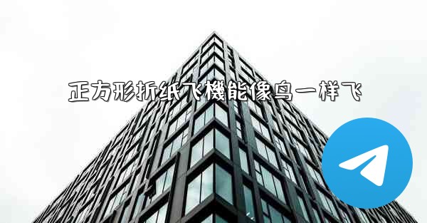 正方形折纸飞機能像鸟一样飞