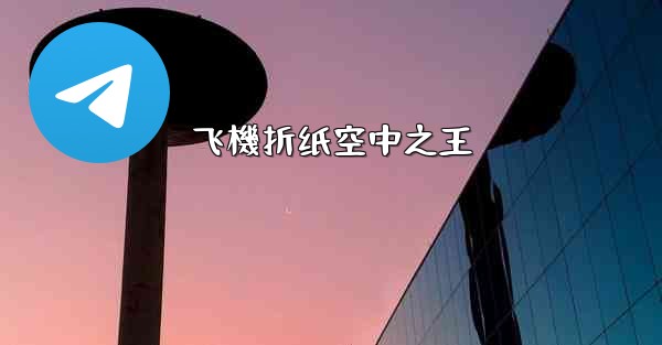 飞機折纸空中之王